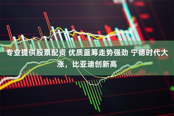 专业提供股票配资 优质蓝筹走势强劲 宁德时代大涨，比亚迪创新高