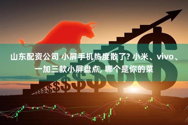 山东配资公司 小屏手机热度散了? 小米、vivo、一加三款小屏盘点, 哪个是你的菜