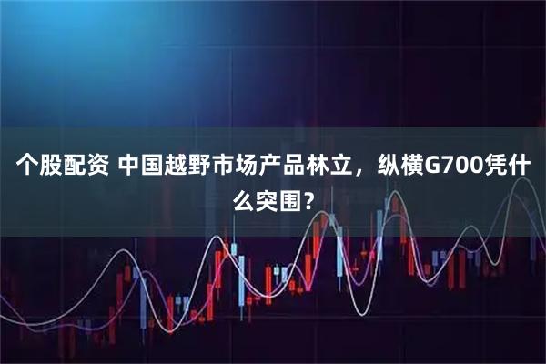 个股配资 中国越野市场产品林立，纵横G700凭什么突围？